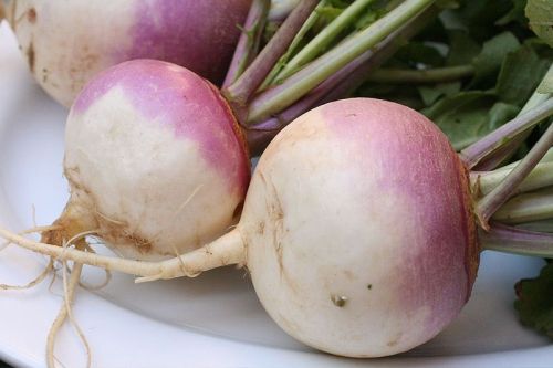 Do not take your turnips for granted, my friend.